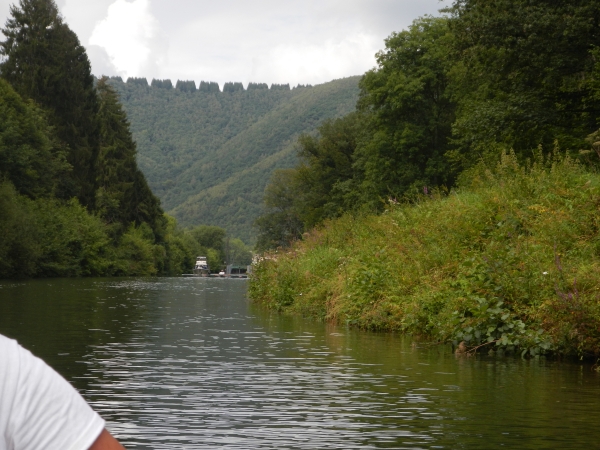 Berg mit Baummuster Maas 2017