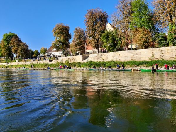 Donauwrth wiedereinsetzen der Ruderboote Donau 2021