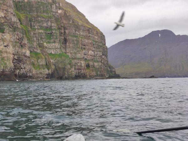 Fliegerangriff auf Ruderboot Island 2022