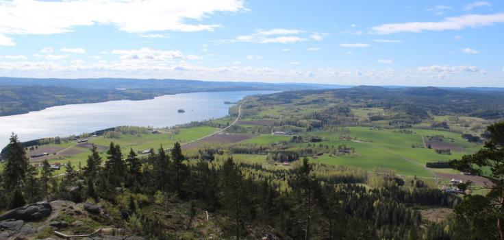 Frykensee panorama