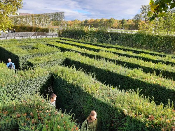 Im Heckenlabyrinth Schnbrunn Donau 2021