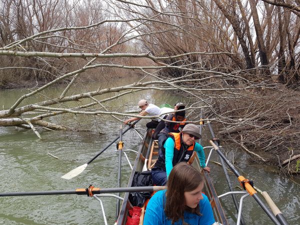 Johanna saegt den Weg frei Donaudelta 2019