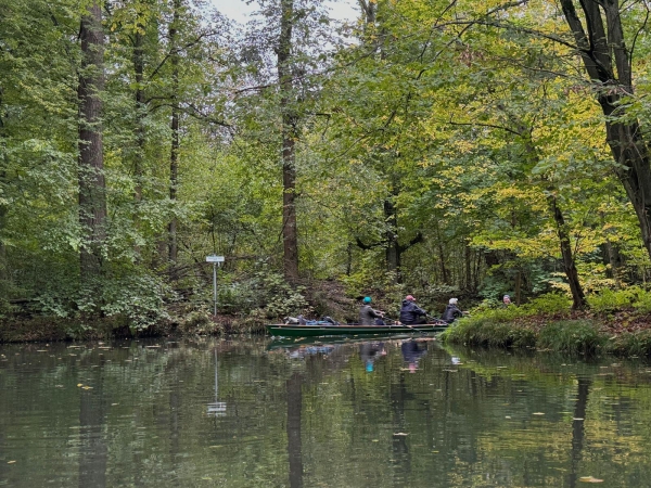 Ruderboot Dreier im Spreewald 2024