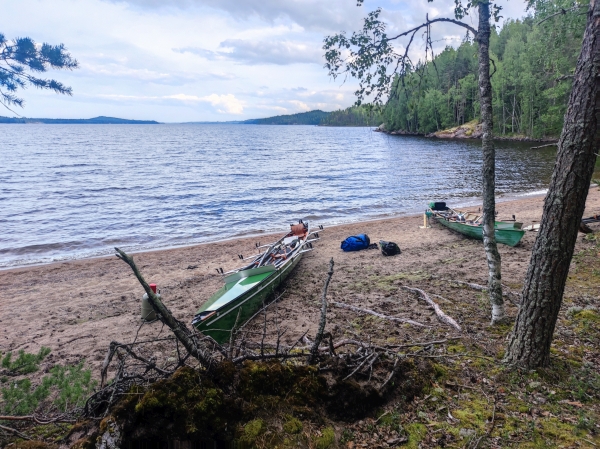 Ruderboote Tetrieniemi Saimaa 2023