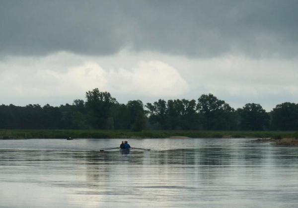 Ruderboote auf der Oder 2014