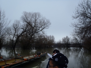 Start auf der Wiese bei Djerdap II Donaufahrt 2018