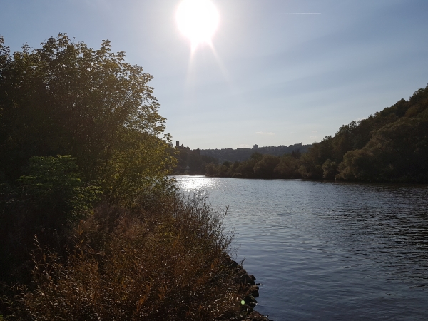 Wertheim blick auf die Burg 2018