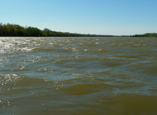 Wind auf der Donau 12
